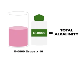 Total Alkalinity TA Total Alkalinity TA